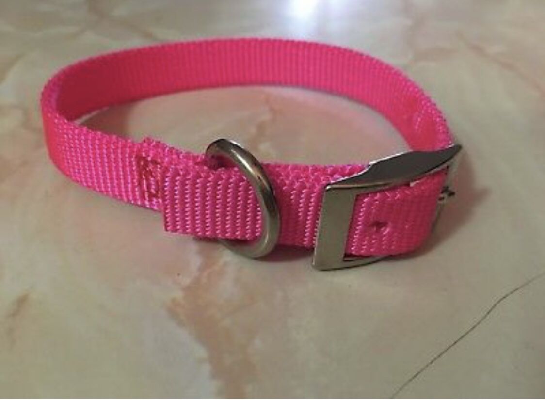 Hot Pink Nylon Dog Collar