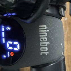 Ninebot Scooter 