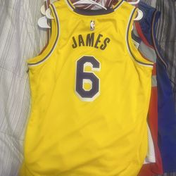 LEBRON JAMES LAKER JERSEY