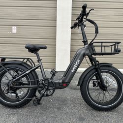 DWMEIGI F1 750 Watts Folding Electric Bike 