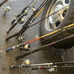 Fishing Rods 