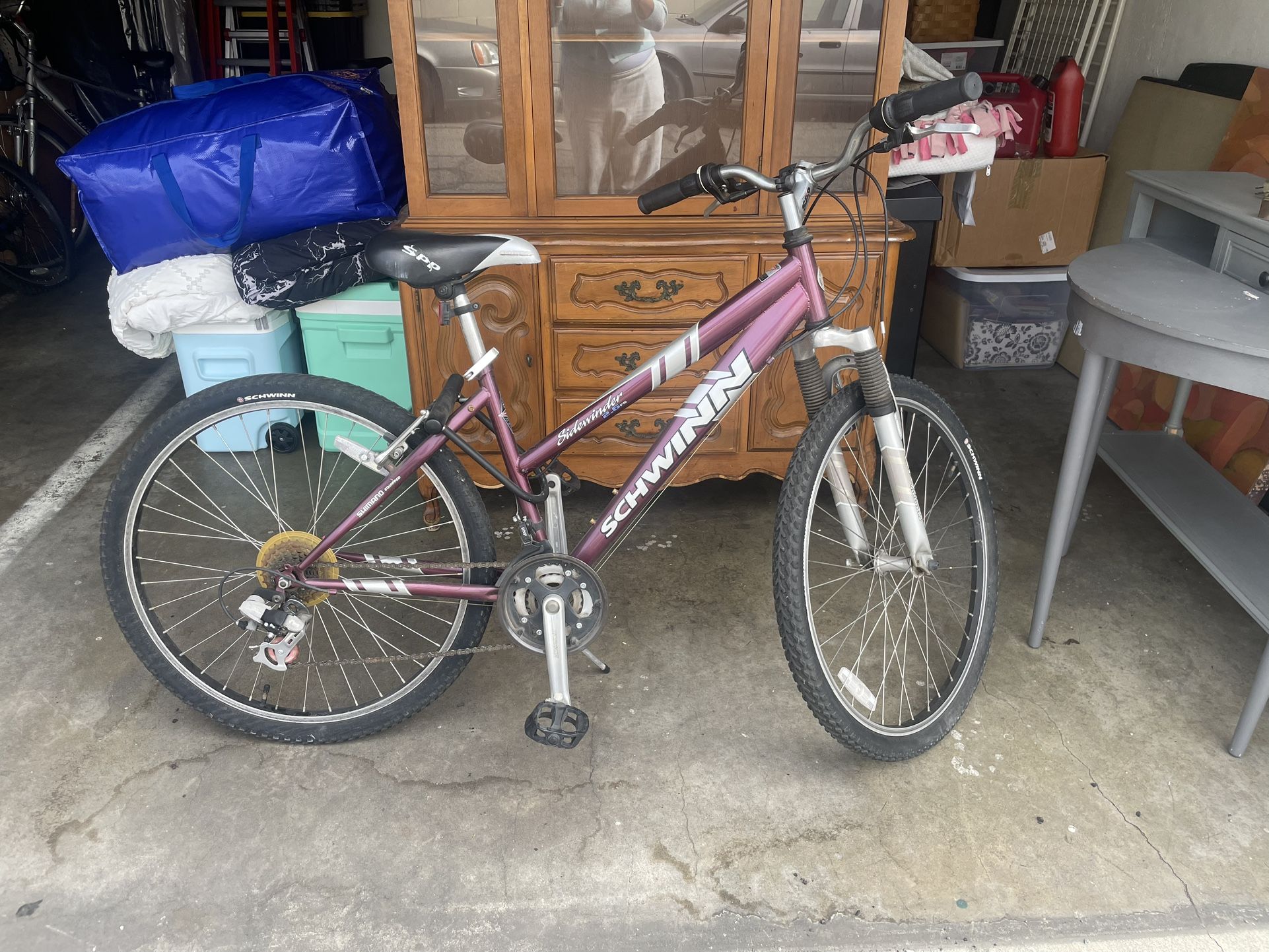 Women’s Lightweight 12 Speed Mountain Bike