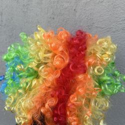 Rainbow Curly Clown Wig