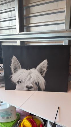 White Alpaca painting With Black Backround
