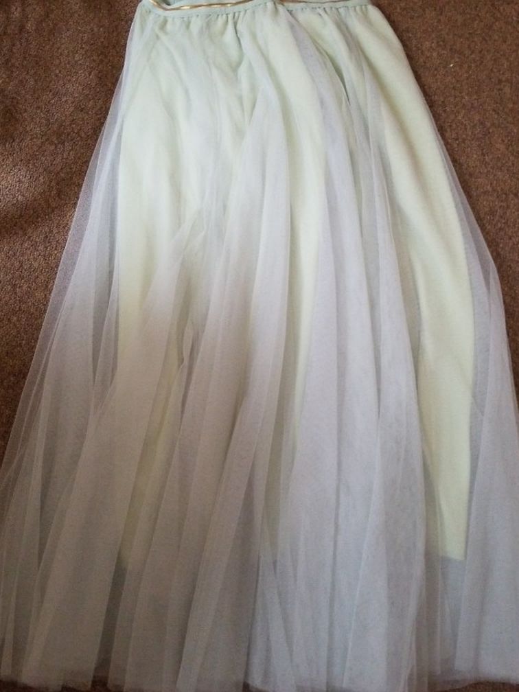 Tulle Skirt