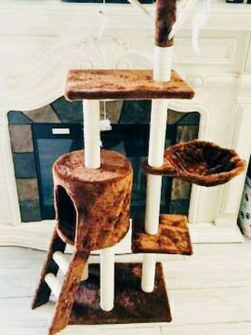 Cat Tree