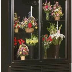 Display Cooler For Flowers 