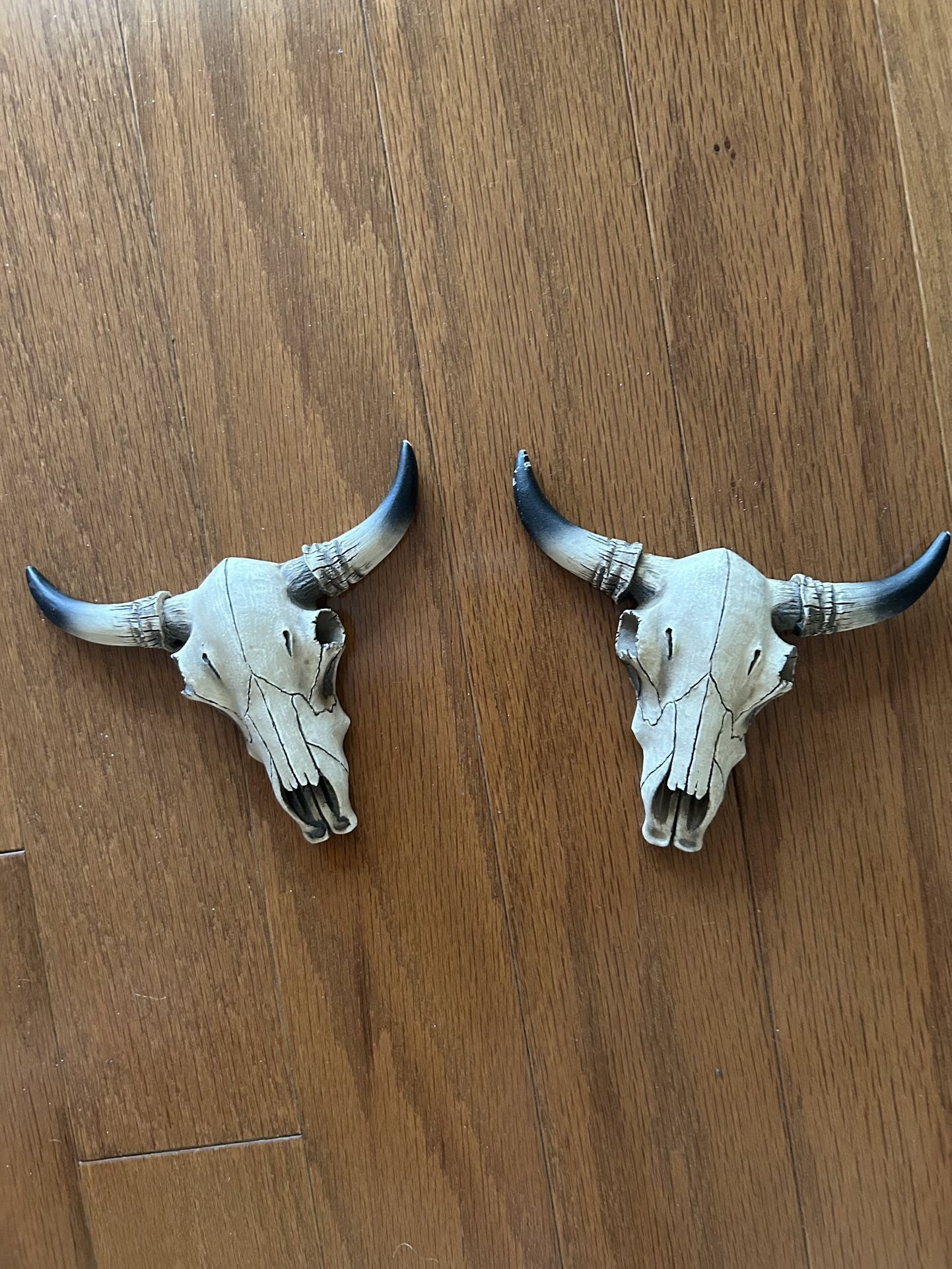Decorative Bull Skulls