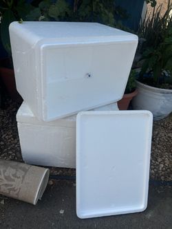 Coolers