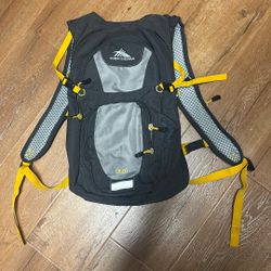 High Sierra Daypack 