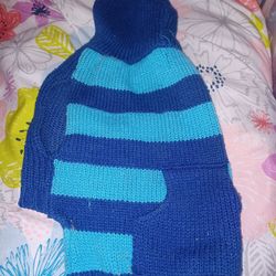 Nice Dog Blue Outfit