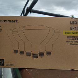 Ecosmart 75 Wat Led