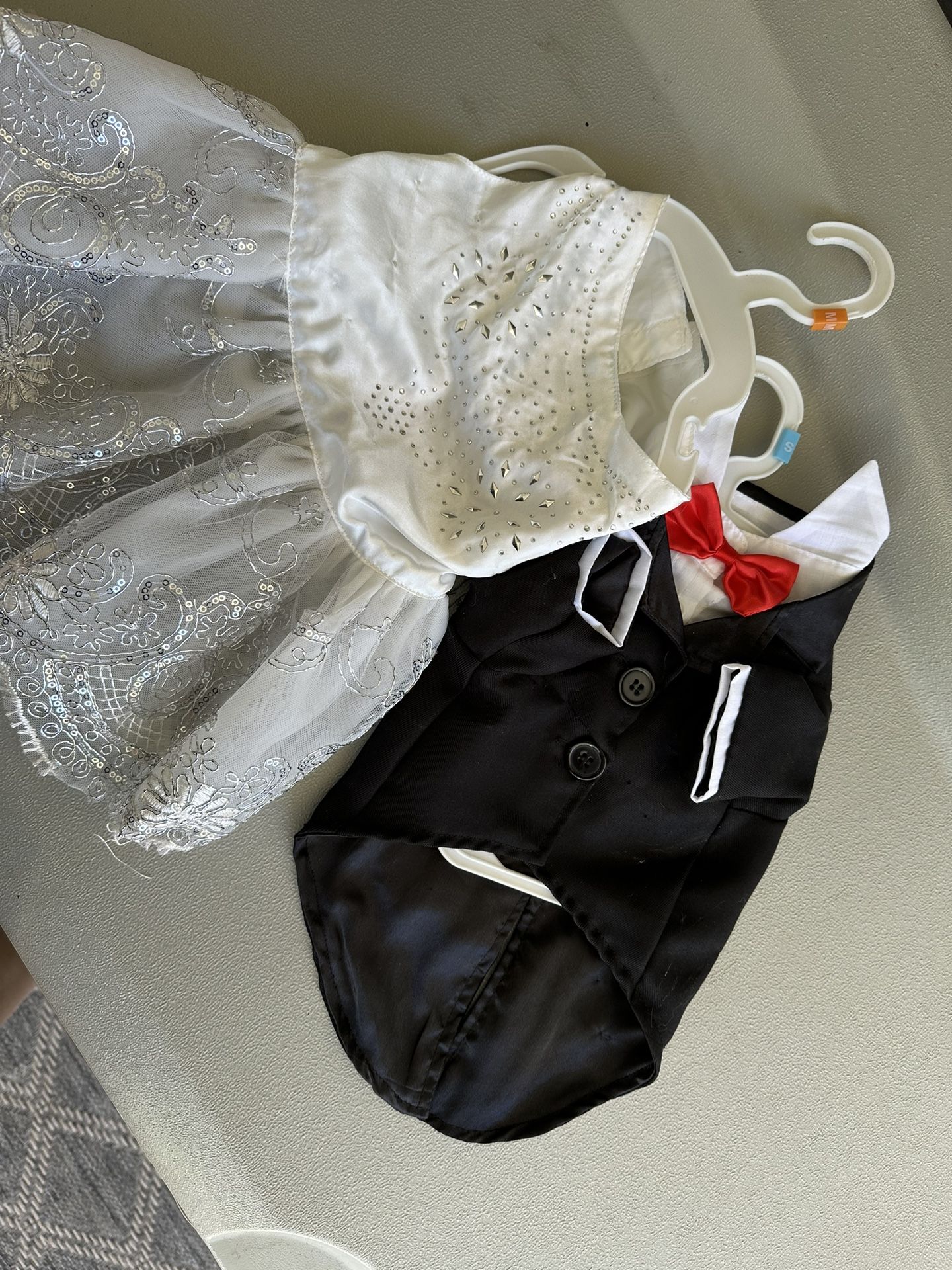 Chihuahuas Wedding Dresses