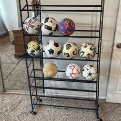 Shoe Organizer