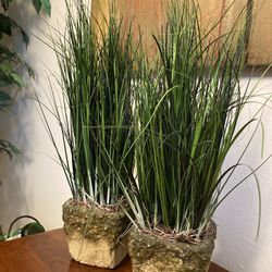 Plant 16” Tall Green Sea Grass in Planters (Set of 2)