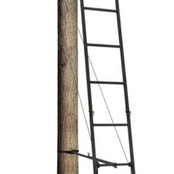 New Big Dog Hunting Skyraider BDL-091