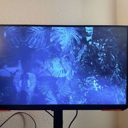 Samsung Gaming Monitor 