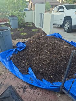 Compost Soil