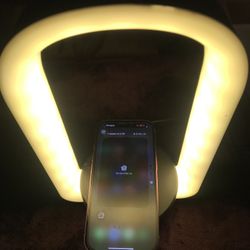 2 in 1 charging lamp 