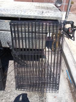 Dog fence