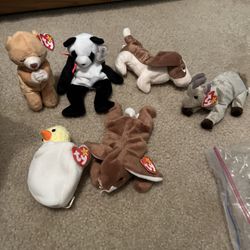 Beanie Babies