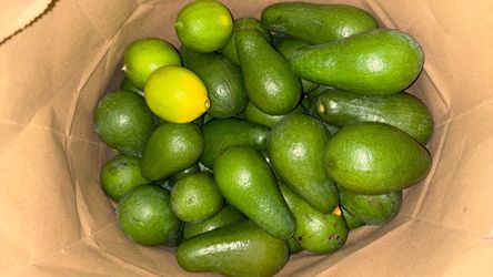 Avocado 🥑