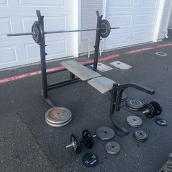 Weight Bench With Weights