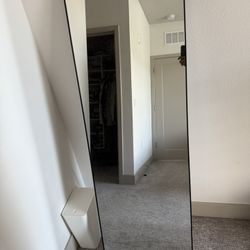 Full Size Mirror 62”x 20”