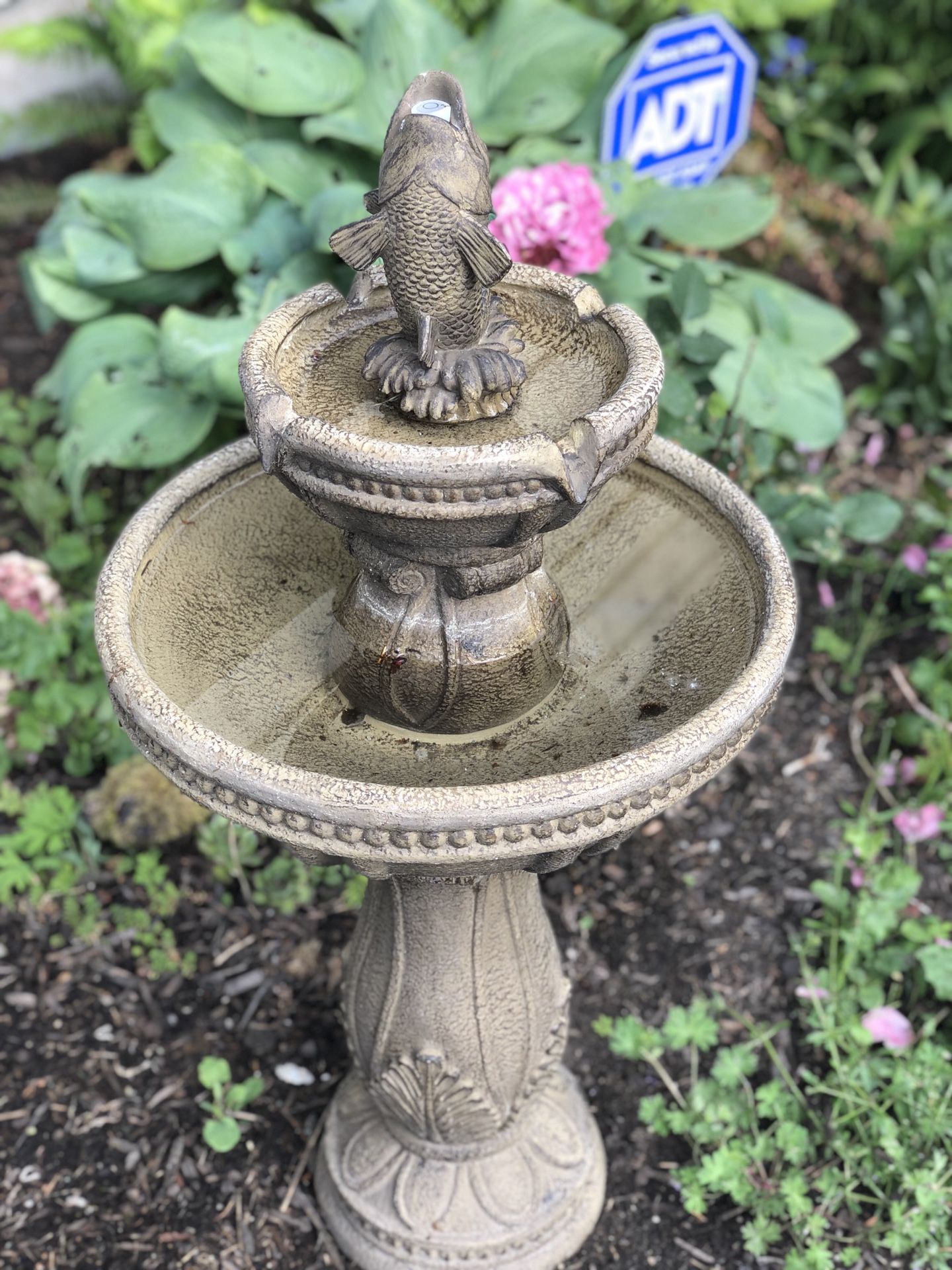Water fountain