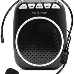 Winbridge WB001 Voice Amplifier