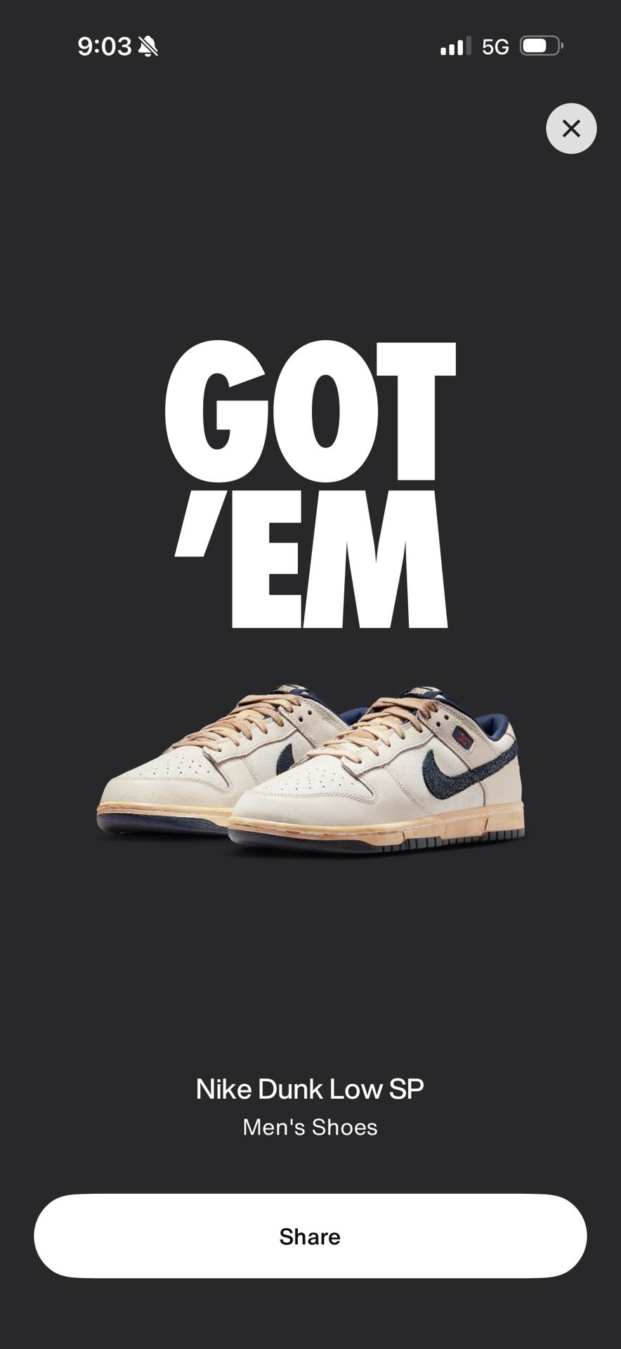 Nike Dunk Low Stranger things 11.5