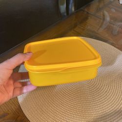 Tupperware Snack Container