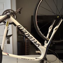 specialized Transition Elite Tryout The Lawn Bike