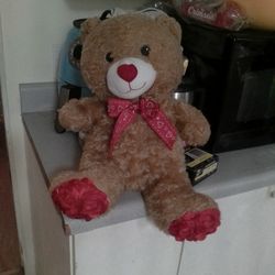 Valentine's Teddy Bear
