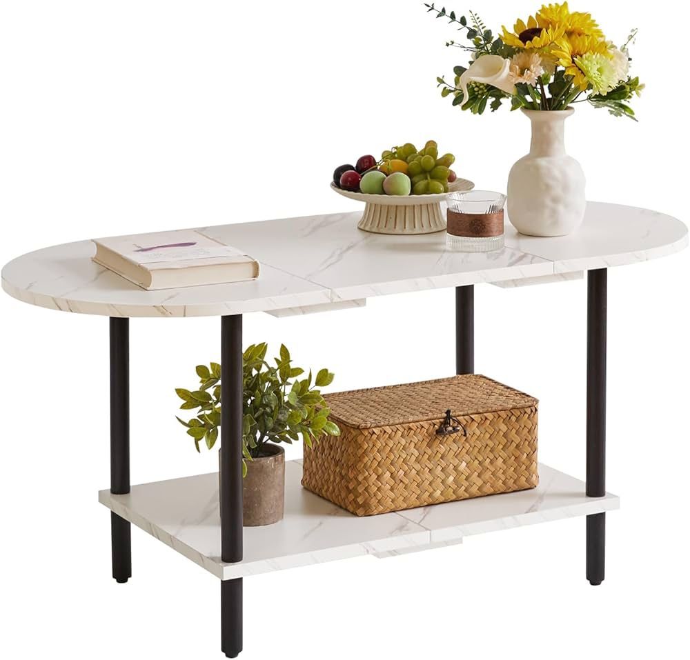 2 Tier Coffee Table with Open Storage Shelf