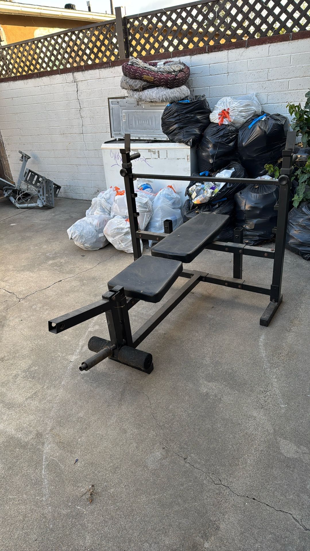 Bench Press