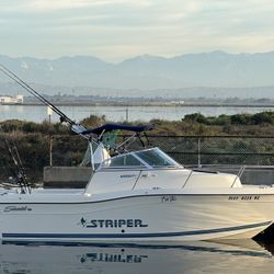 1997 Seaswirl Striper