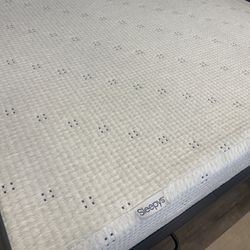 GREAT deal on Memory Foam Mattress!