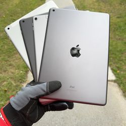 iPads 5 / 6 / 8 / Pro
