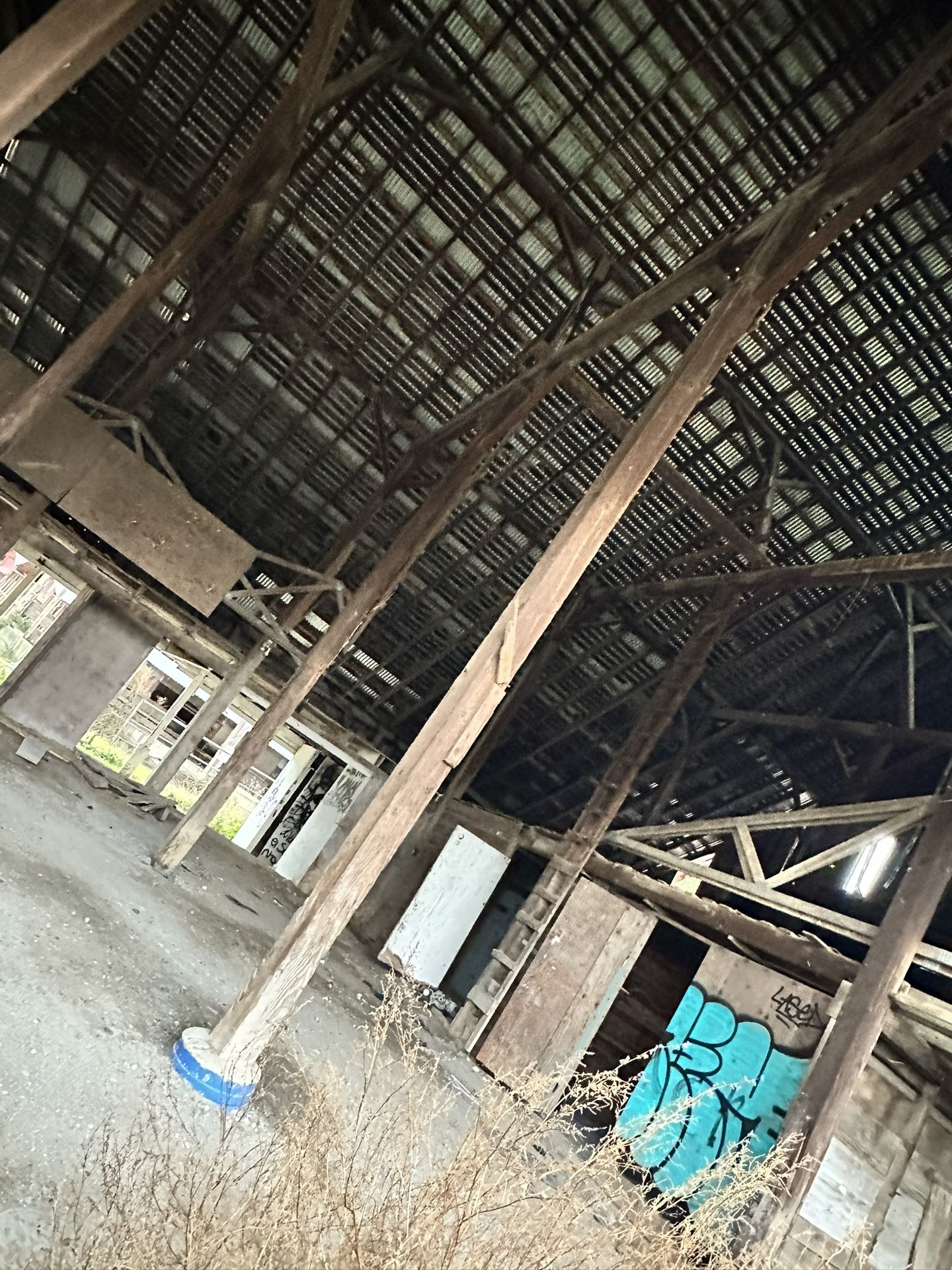 Oak 10”x10” 12’