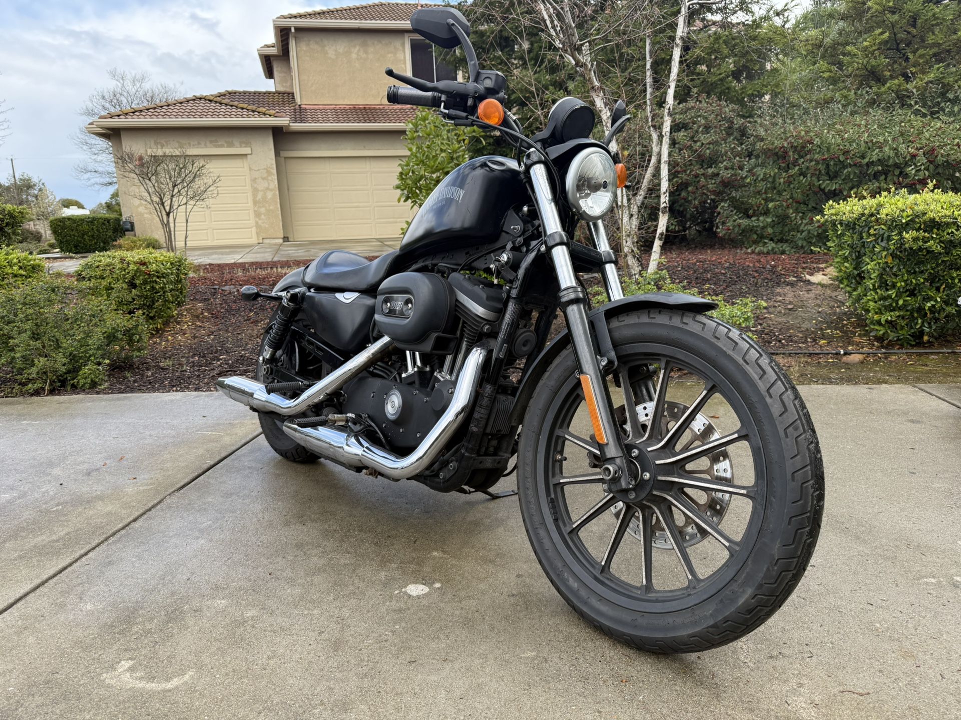2020 Harley-Davidson Sportster Iron