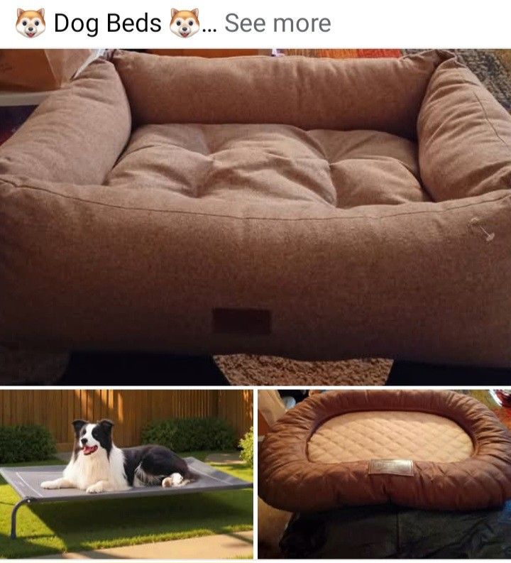 🐶 Dog Beds 🐶