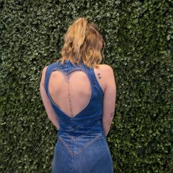 Revice Denim Hollywood Heartthrob Jumpsuit 