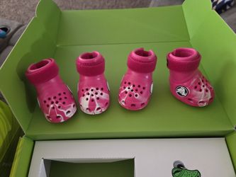 Dog Crocs - Small