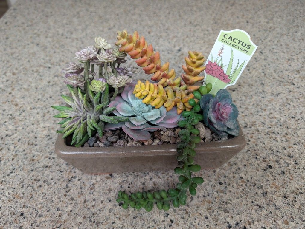Indoor Plant (Ceramic Pot With Rubber/Plastic Plants)