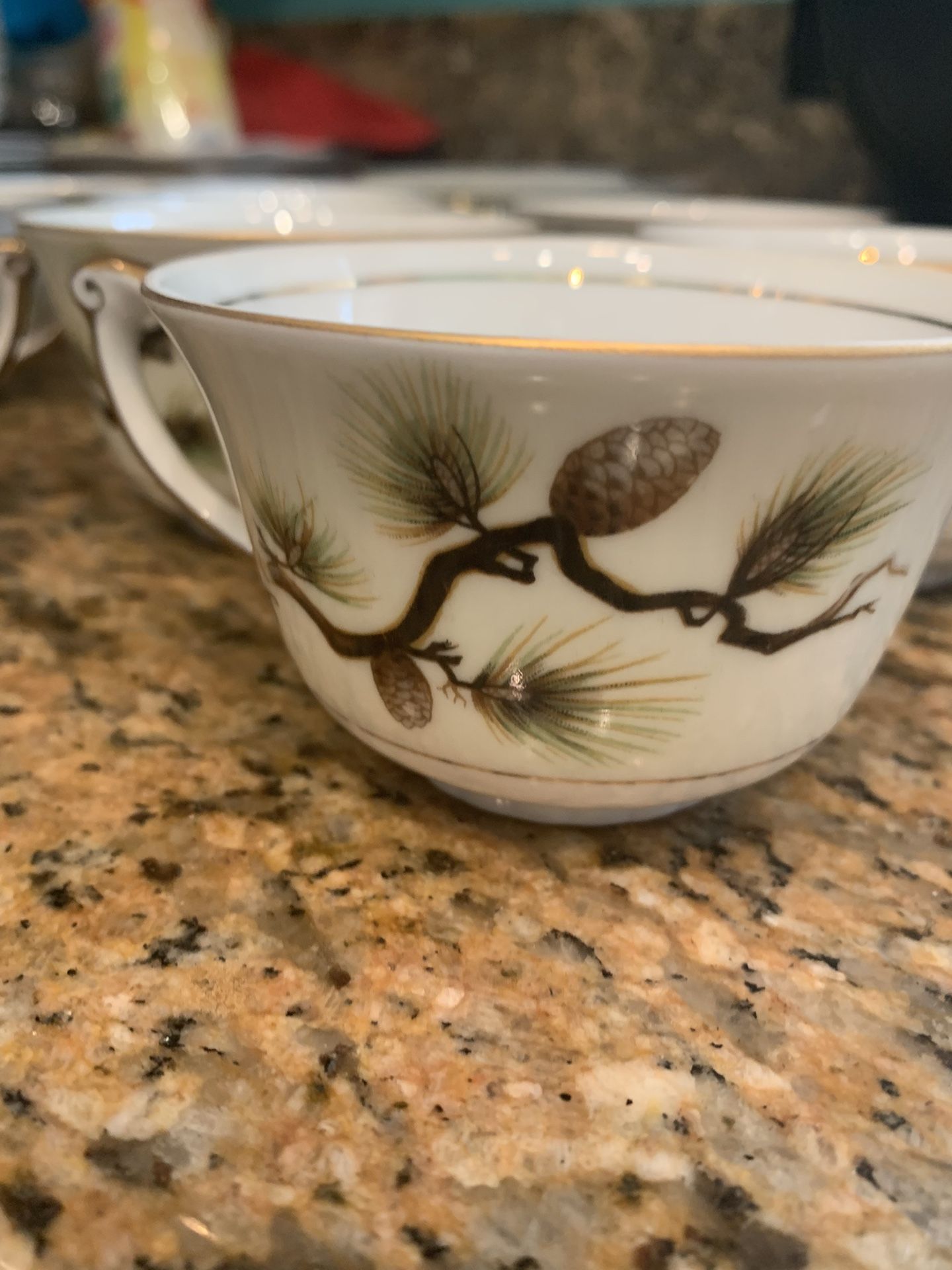 Dishes , Shasta Pine Cones