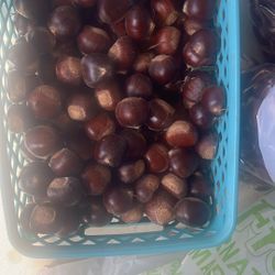 Fresh Chestnuts for sale! 