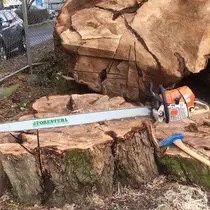 5’ Long Oregon Chainsaw Bar & Chain