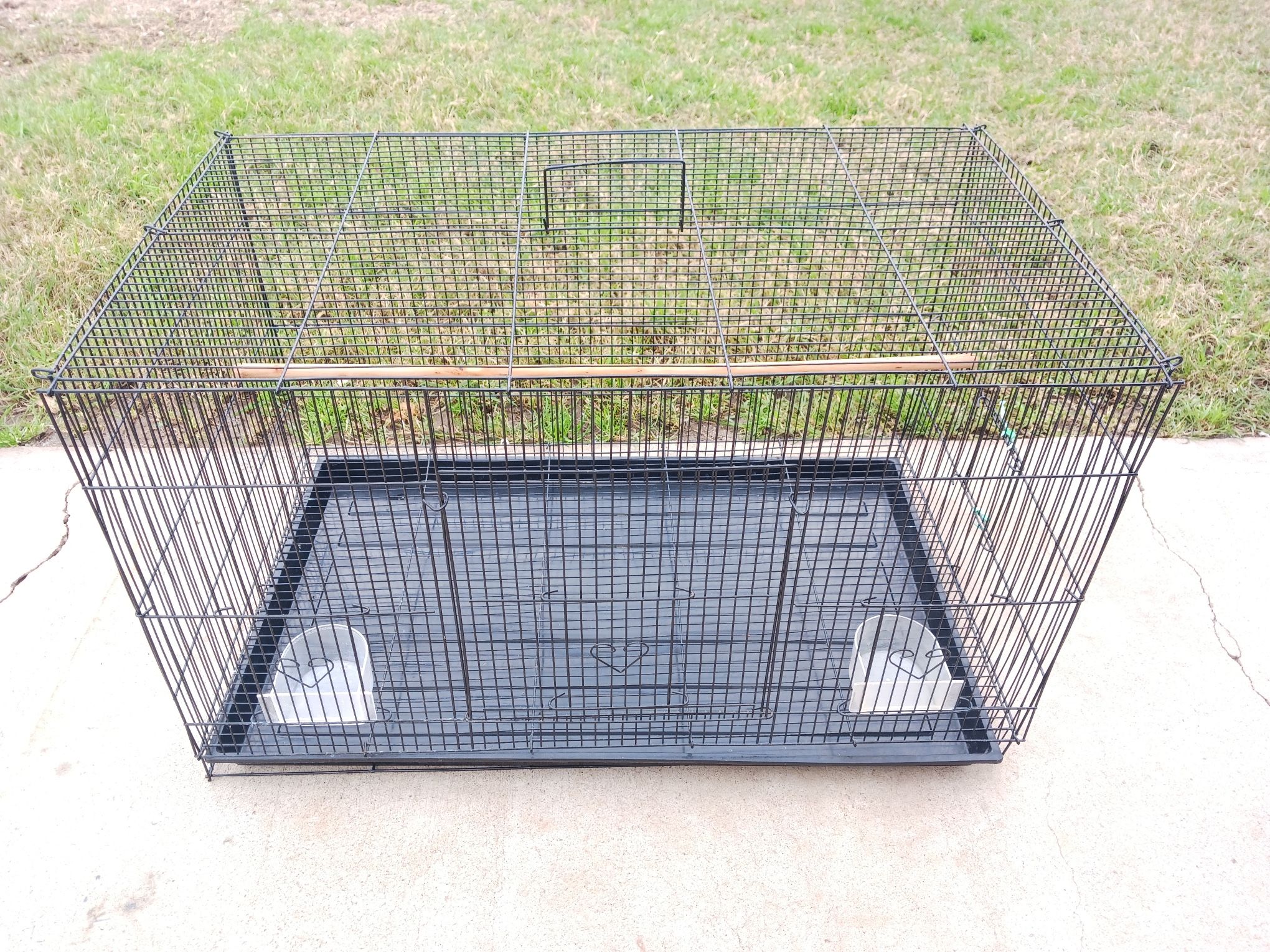 Black Bird Cage