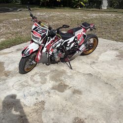 Drz2019